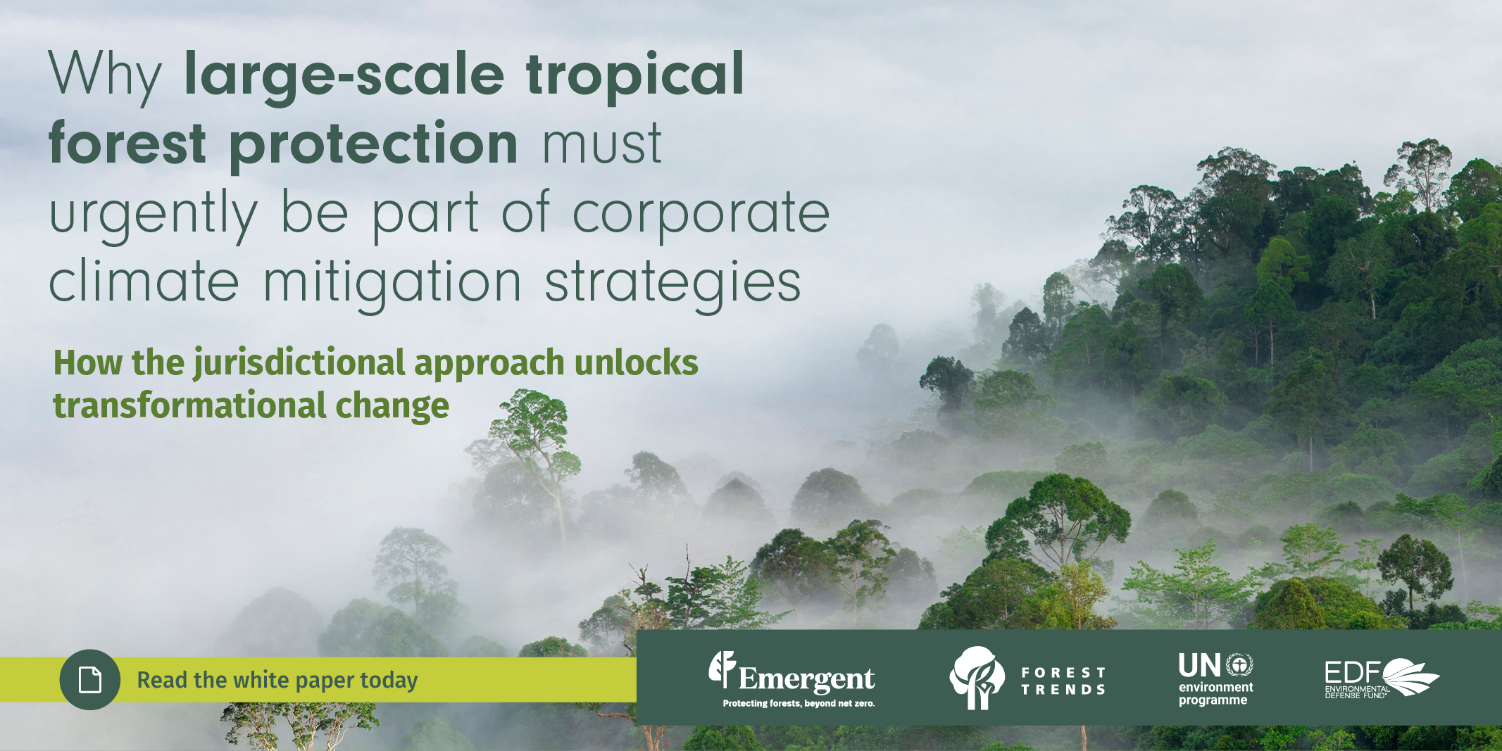Jurisdictional White Paper Launch