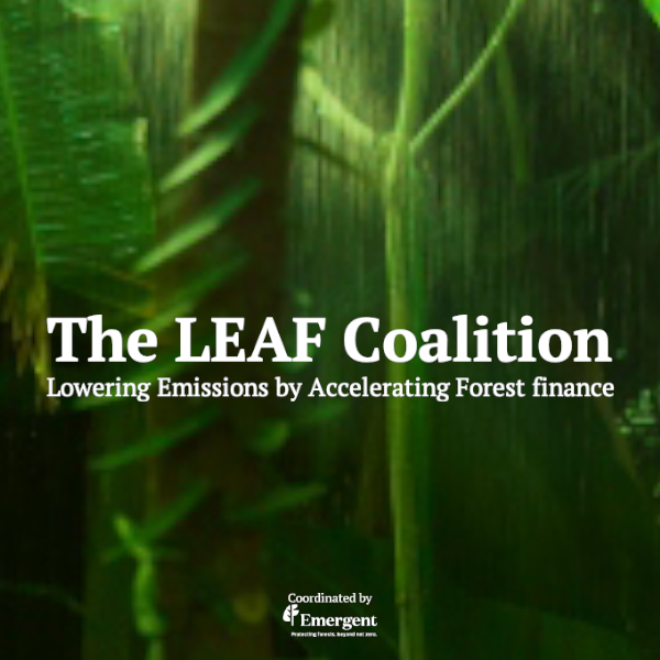 Delta Air Lines and PwC join the LEAF Coalition