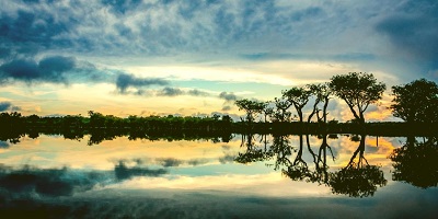Opinion: A New Wave of Global Resolve to Protect Tropical Forests around the World