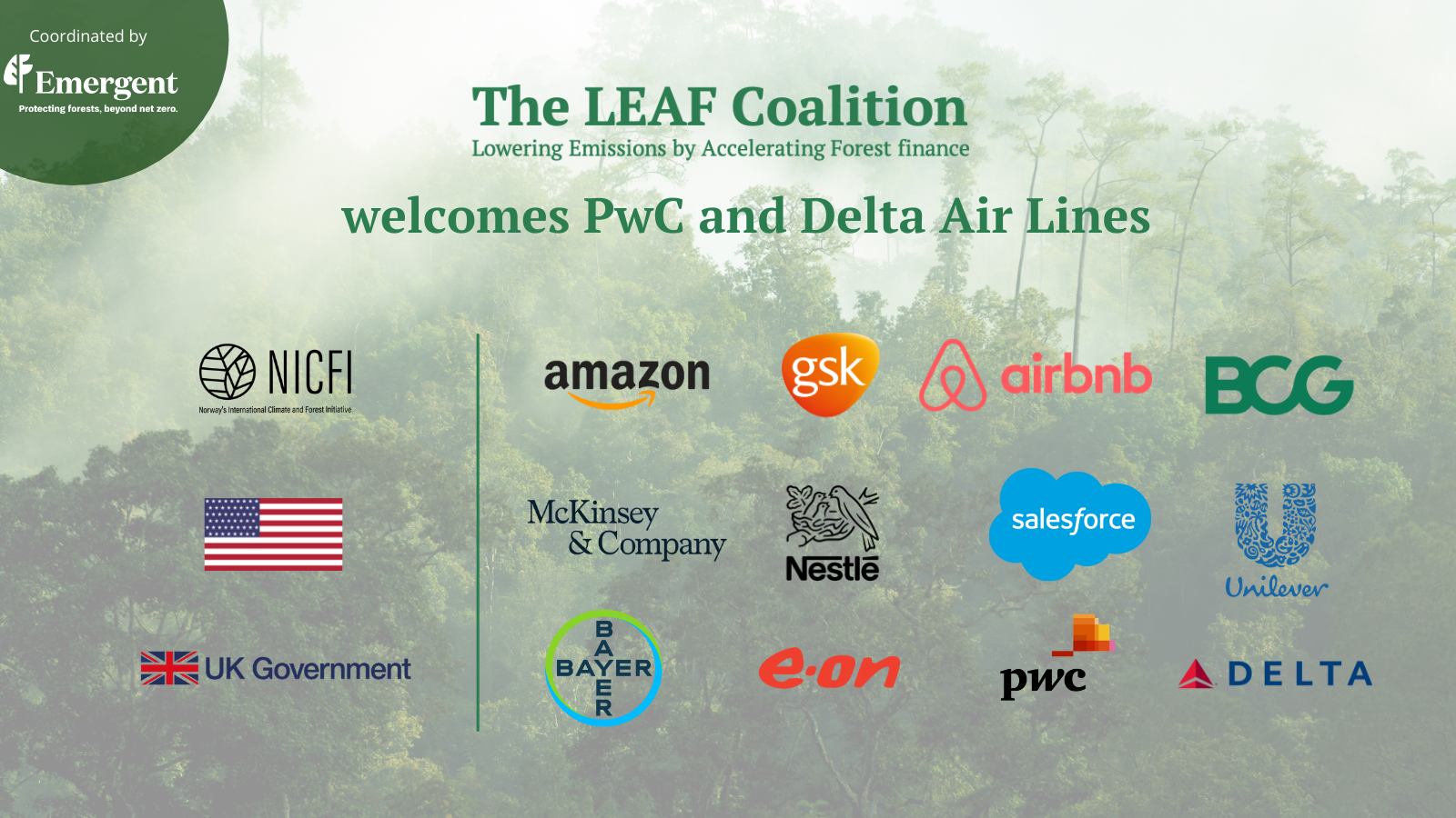 Delta Air Lines and PwC join the LEAF Coalition