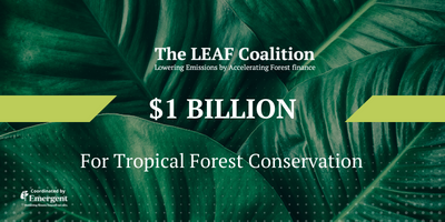 LEAF Coalition Mobilizes $1 Billion for Tropical Forest Conservation