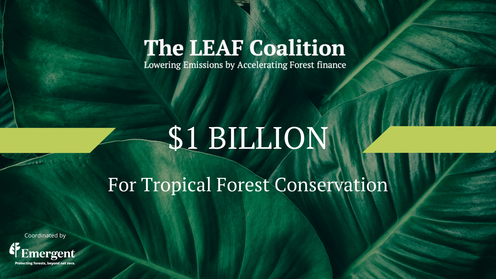 02 NOV 2021: LEAF Coalition Mobilizes $1 Billion for Tropical Forest Conservation