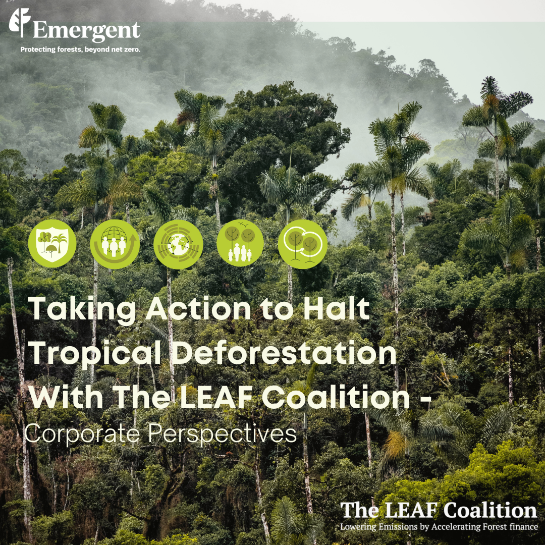 Taking Action to Halt Tropical Deforestation with The LEAF Coalition